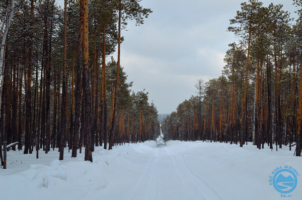 i-1038.jpg