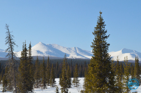i-1076.jpg