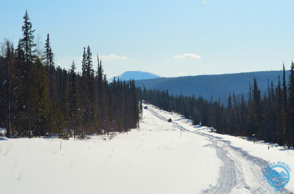i-1077.jpg
