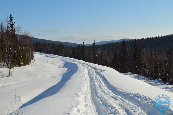 i-1081.jpg