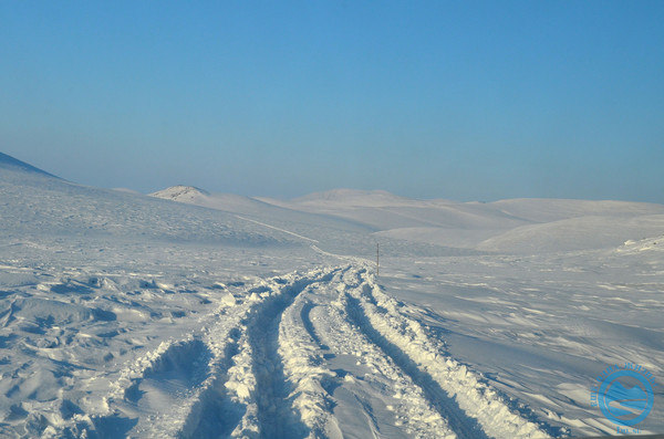 i-1134.jpg