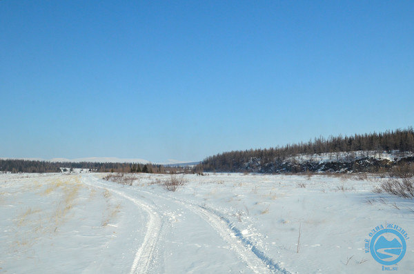 i-1169.jpg