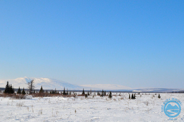 i-1178.jpg