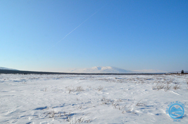 i-1180.jpg