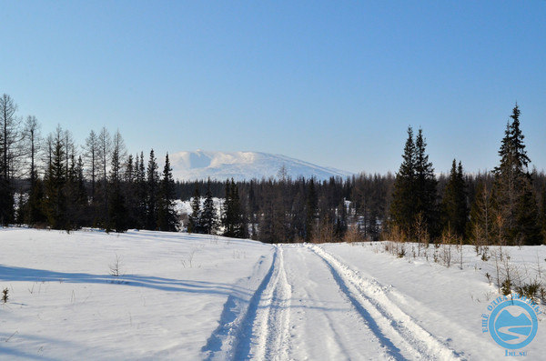 i-1184.jpg