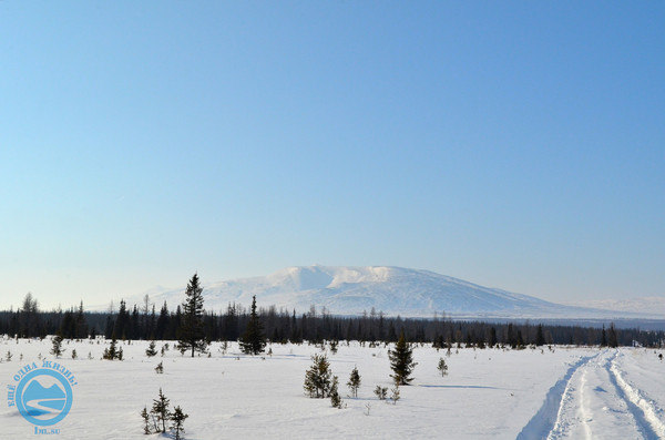 i-1185.jpg
