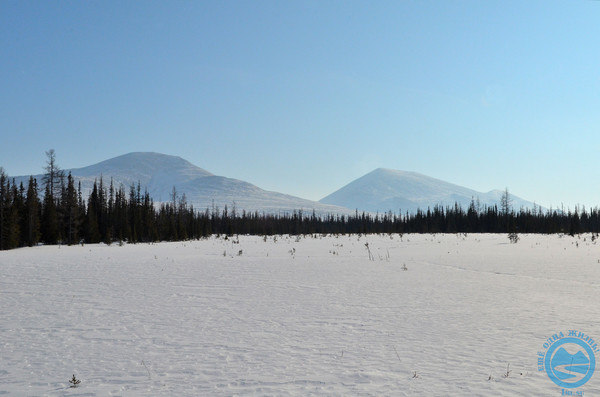 i-1186.jpg