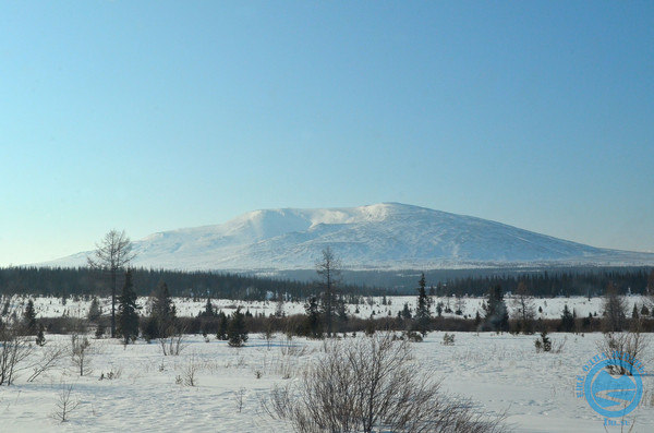 i-1188.jpg