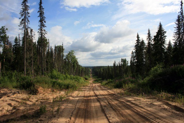 опубликованное пользователем изображение