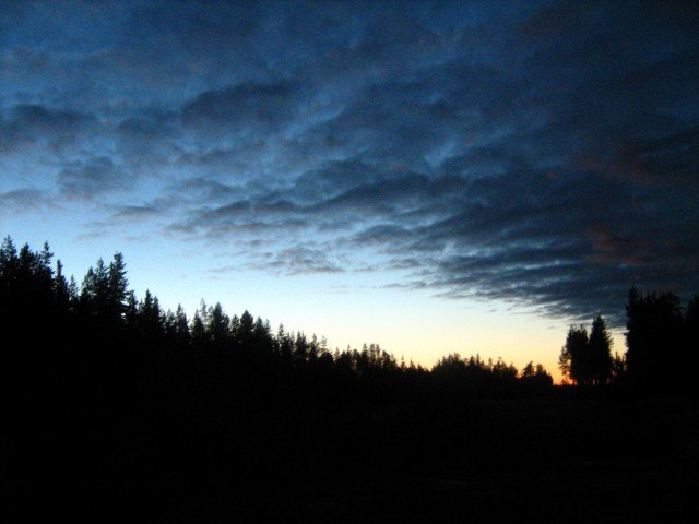 опубликованное пользователем изображение