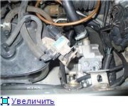 опубликованное пользователем изображение