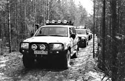 LAND CRUISER