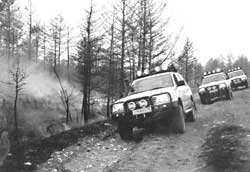 LAND CRUISER