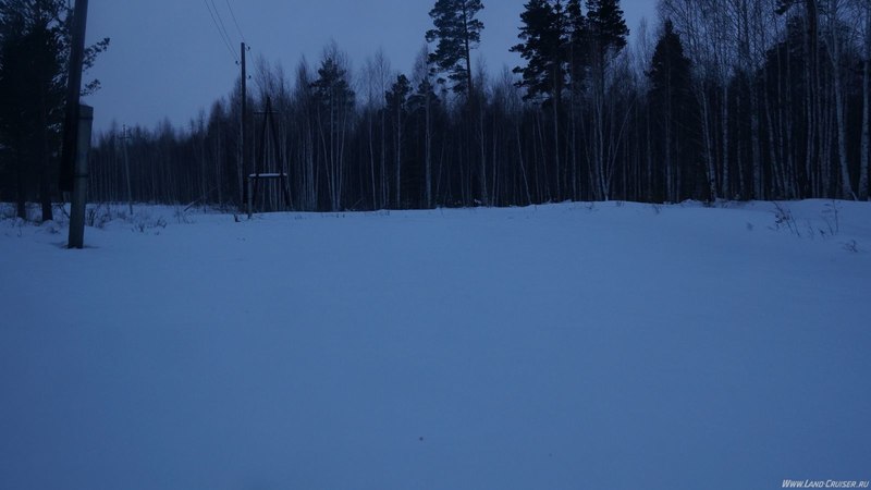 Чирики. Ноябрь 2014