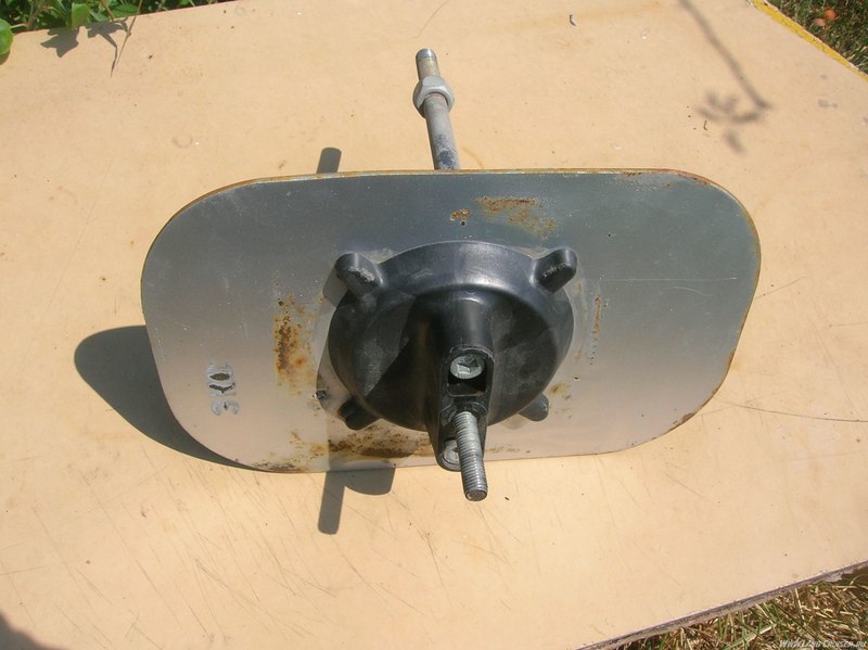 31