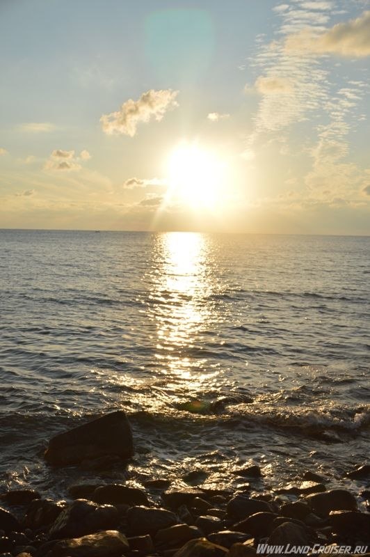 DSC 9236 солнышко