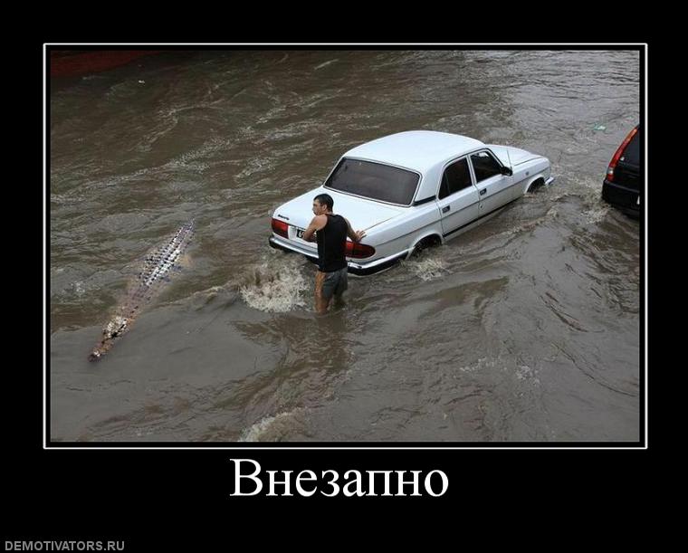 долго не было мужика. ты меня будешь ждать. женщина уходит цитаты. анекдоты про половые. статусы юмор.