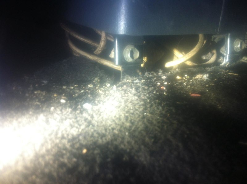 post-21581-0-45491800-1451931917_thumb.j