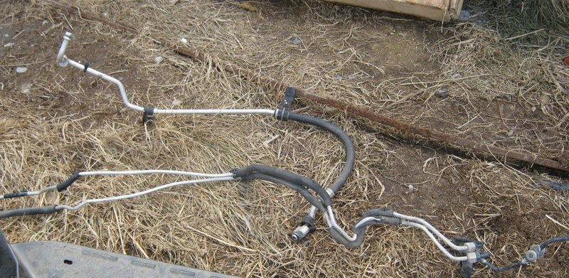 post-29595-0-90353300-1460197496_thumb.j