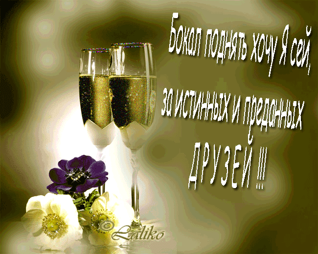 Мой дорогой друг 2016
