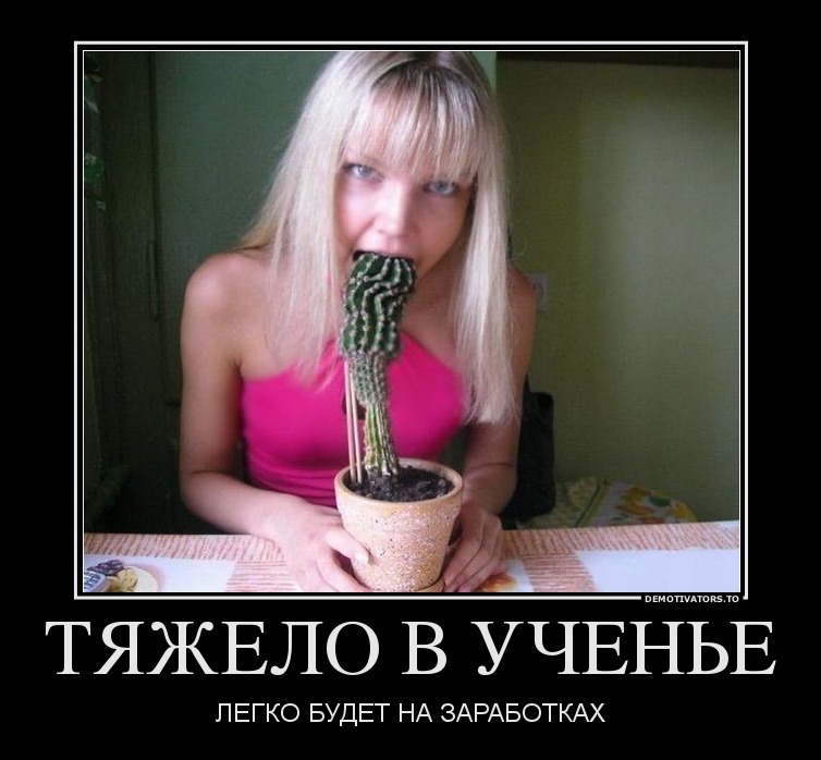 Бесплатная реклама сучке ничего не стоит