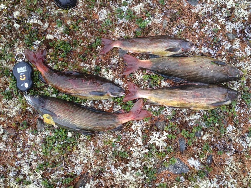 Удилище для морской рыбалки на черном море Удилище для морской рыбалки на черном море