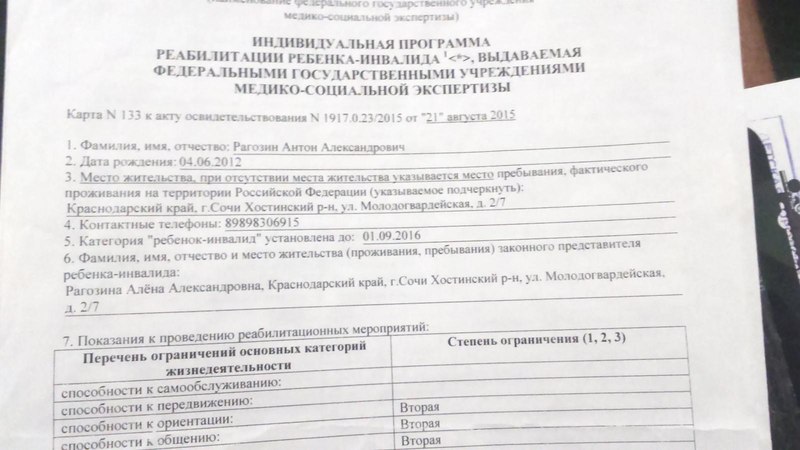 Ипр образец документа заполненный