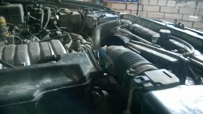 post-24363-0-22313000-1472582812_thumb.j