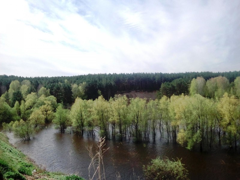 Муромцевский Район Фото