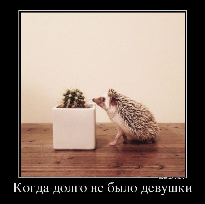 Не стали долго болтать, а сразу приступили к сексу Не стали долго болтать, а сразу приступили к сексу