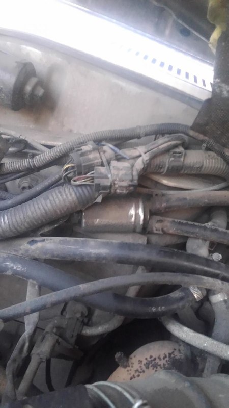 post-1023-0-16269100-1445489123_thumb.jp