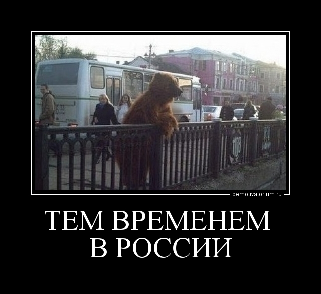 Подборка фото приколов с животными 26