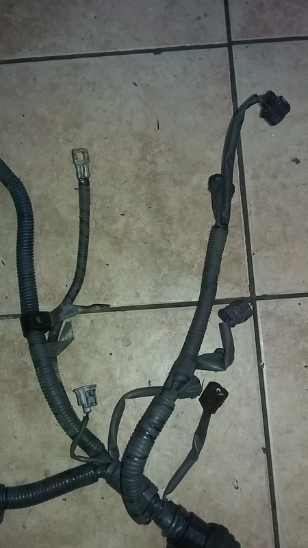 20170130_101708.jpg