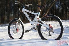 Santacruz Bullit