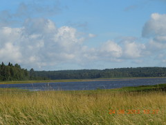 DSCN3328