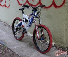 Scott Octane DH WC (Team Germany proto)