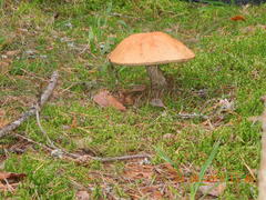 DSCN3457