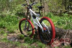 Santacruz Bullit