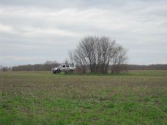 CIMG7508.JPG
