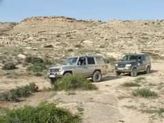 DSCF0310.JPG