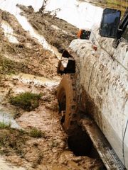 DSC00833 (480x640).jpg