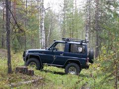 Просто в лесу.