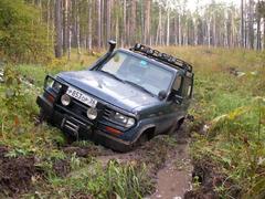 Просто Болотинка