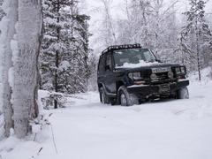 Едем  на разведку  леса