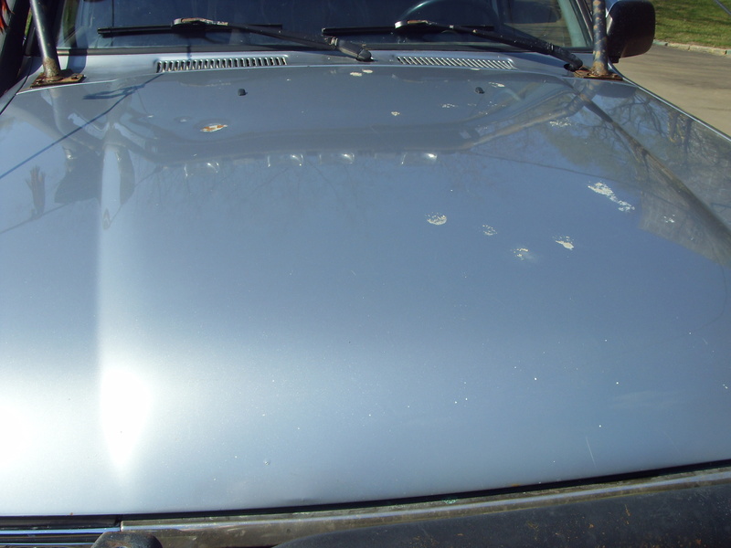 SDC10043.JPG