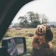 Vadim Drive