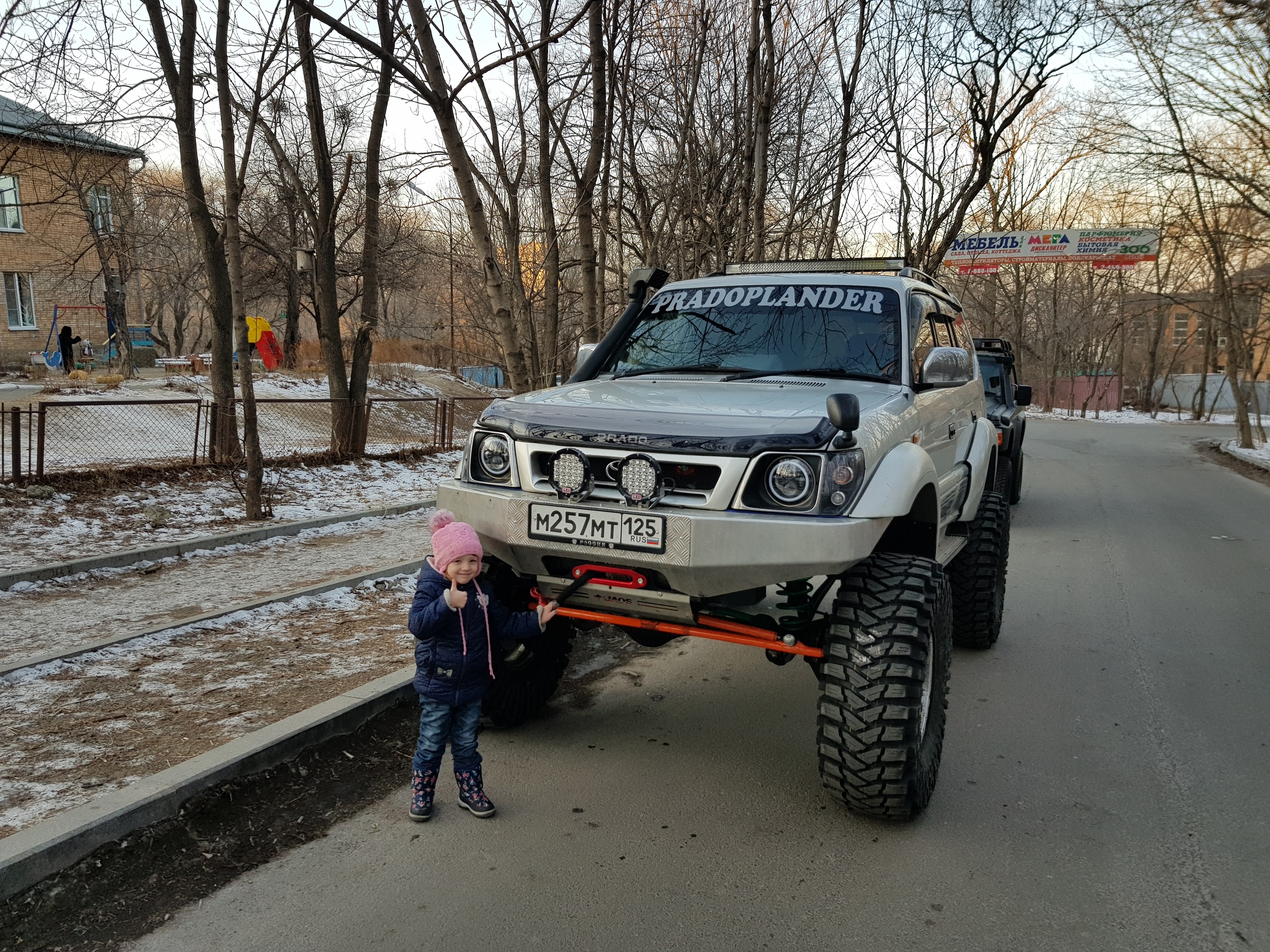 Максис трепадор на ниву