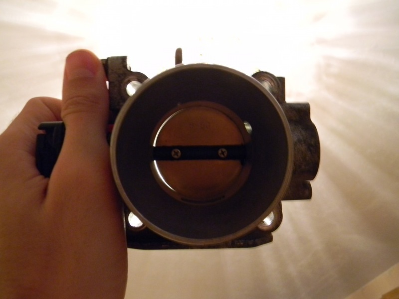 6f706a8s-960.jpg