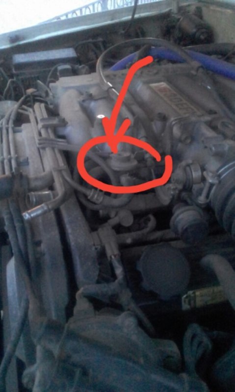 2018-04-20 20.55.11.jpg