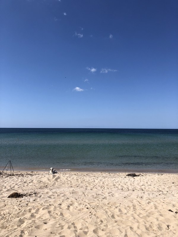 AF6D3E03-0E87-4972-B3CC-71DF7D120538.jpeg